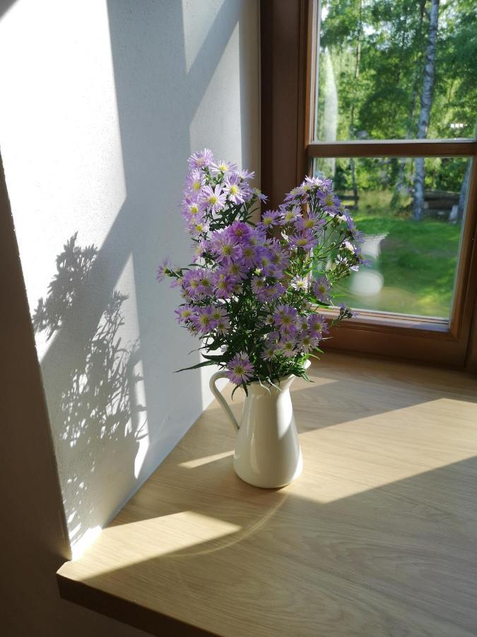 Villa Na Jeleni Stezce Chřibská Esterno foto