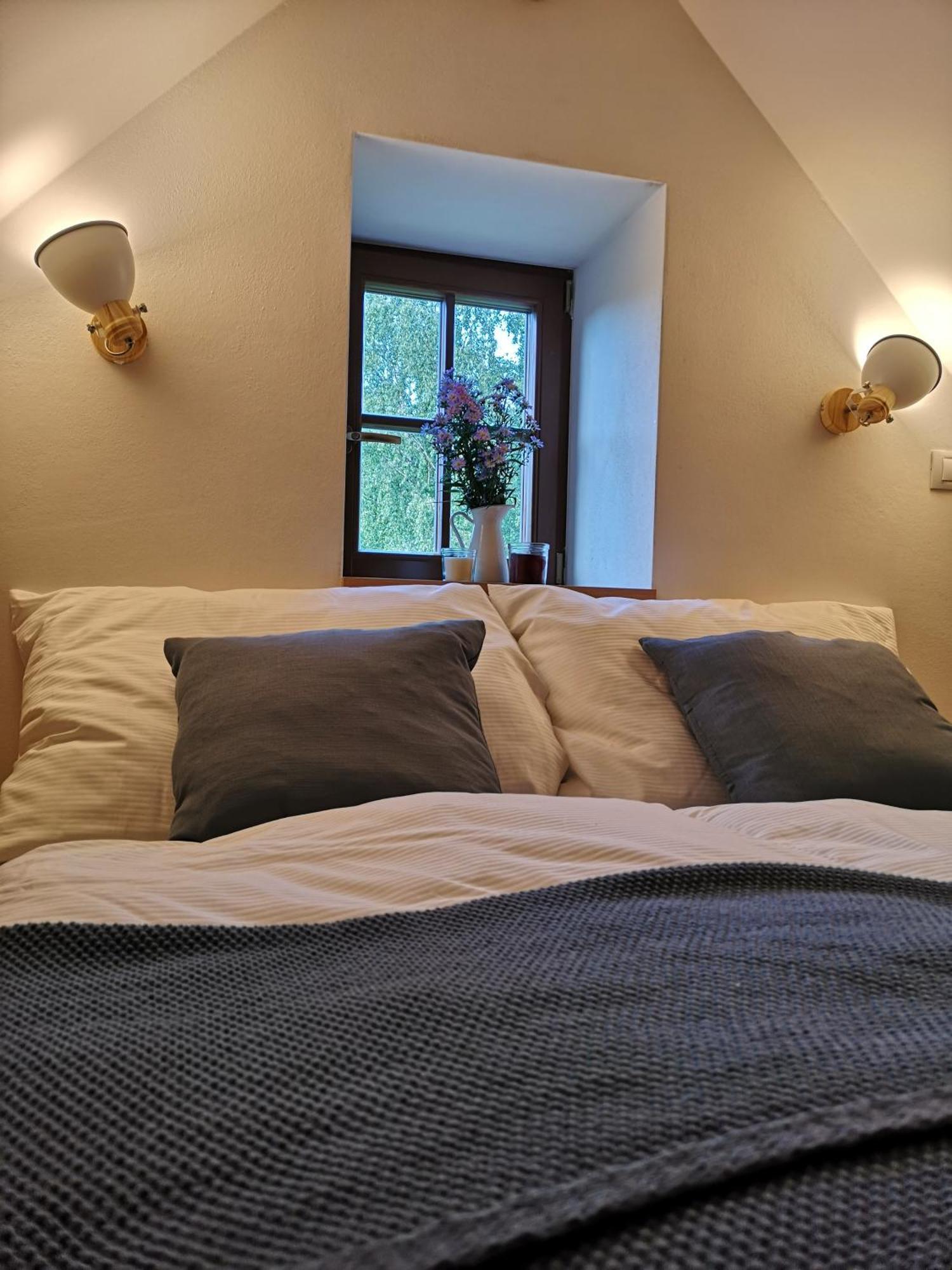 Villa Na Jeleni Stezce Chřibská Esterno foto